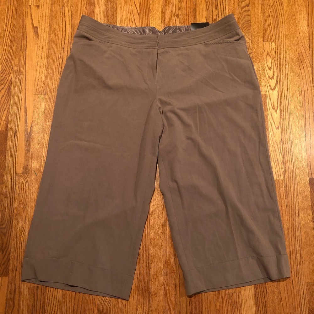 NWT Lane Bryant Ankle Pant Size 22